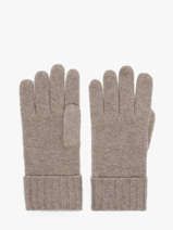 Gants Cachemire Vercors Etrier Marron vercors EVER429U