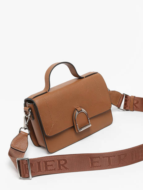 Small Leather Altesse Crossbody Bag Etrier Beige altesse EALT048S other view 2