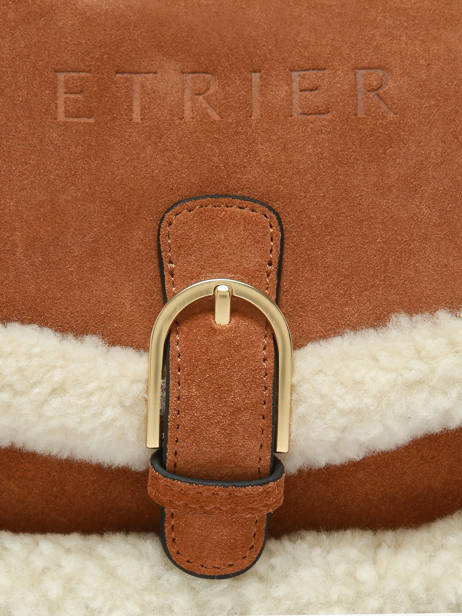 Shoulder Bag Alpin Leather Etrier Beige alpin EALP050S other view 5